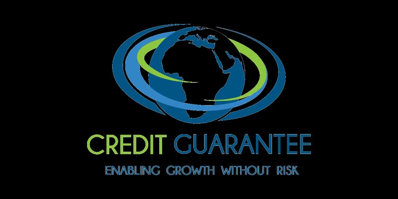 Credit Guarantee: Enabling Growth Without Risk