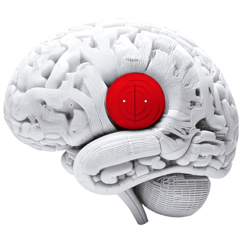 Brain illustration